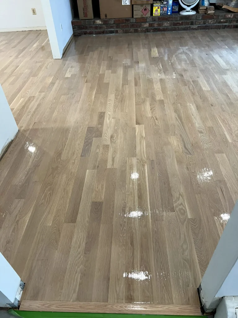 Our Gallery