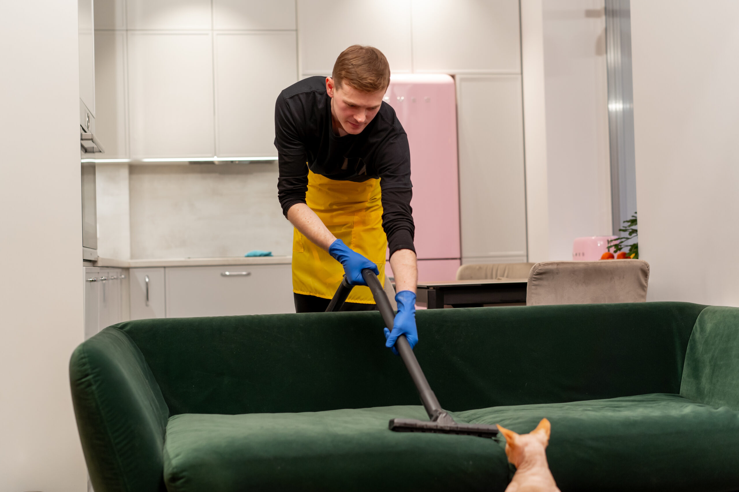 Upholstery Cleaning Dallas TX in an apartment cleaner in yellow apron professionally vacuums a green velor sofa professional equipment inquisitive cat