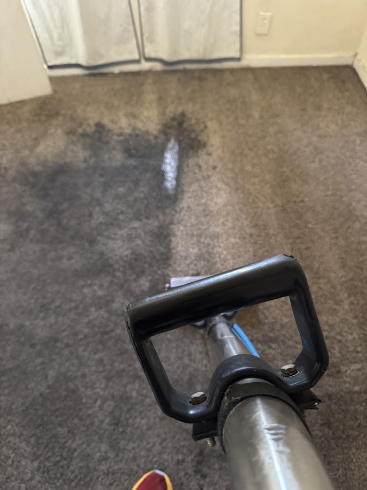 Carpet Cleaning Roseville CA