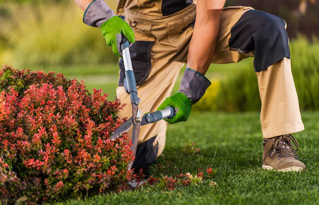 pro-gardener-trim-plants-branches_1426-4509